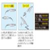 Palms R-130 Metal Jig Lure, Slow Blat view 2
