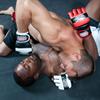 Combat Sports Traditional MMA Fight Gloves view 4