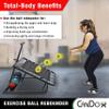 CanDo Rectangular Adjustable Ball Rebounder with Horizontal Rack, 5 Balls - for Physical Therapy, Upper Body Exercise, Coordination, and Sports Training view 3