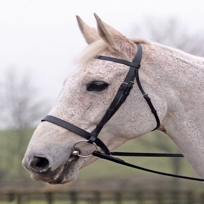 Cottage Craft Lincoln Bridle With Plain Reins (Full) (Black)