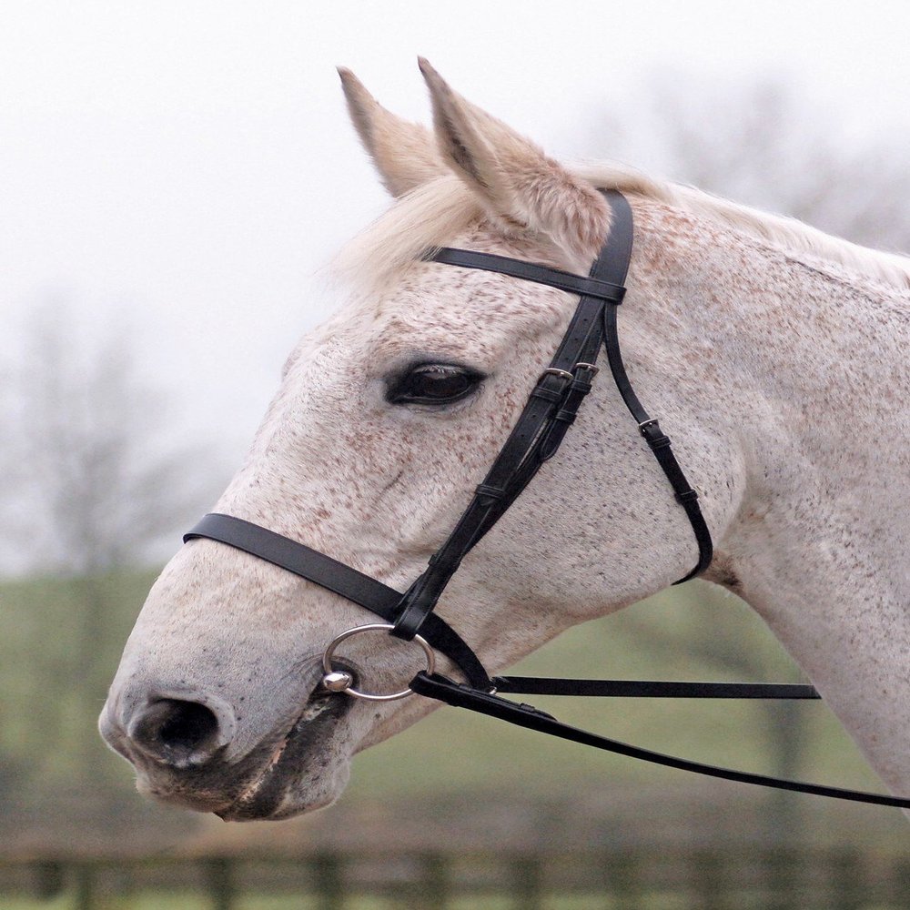 Cottage Craft Lincoln Bridle With Plain Reins (Full) (Black)