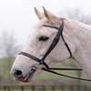 Cottage Craft Lincoln Bridle With Plain Reins (Full) (Black) view 1