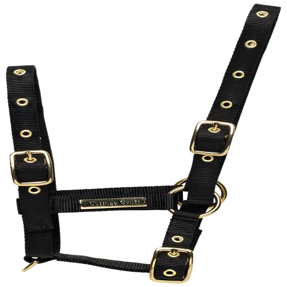 Cottage Craft Foal Headcollar - Black, Foal