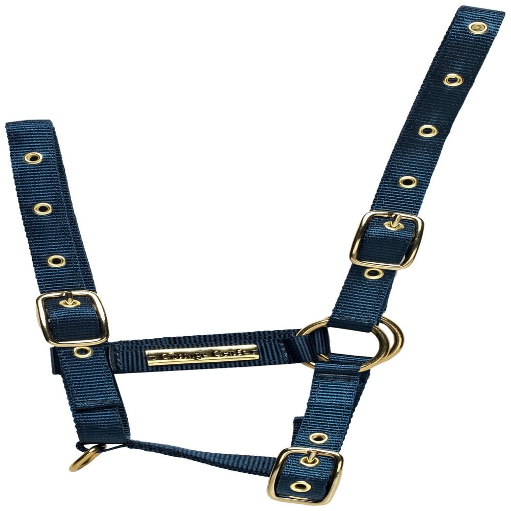 Cottage Craft Foal Headcollar - Navy Blue, Foal