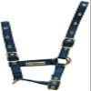 Cottage Craft Foal Headcollar - Navy Blue, Foal view 1