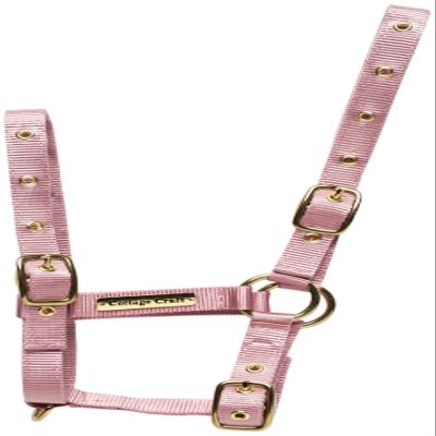 Cottage Craft Foal Headcollar - Pink, Foal