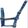 Cottage Craft Foal Headcollar - Royal Blue, Foal view 1