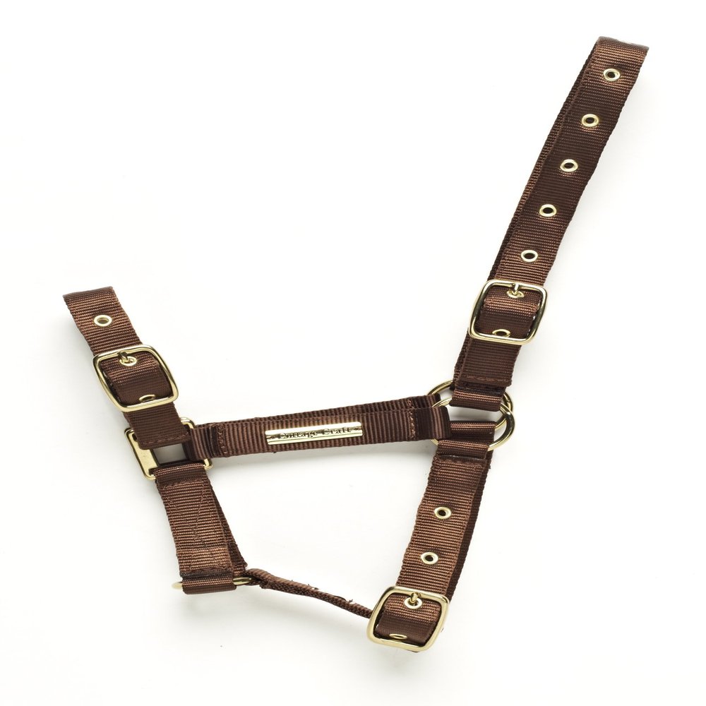 Cottage Craft Fully Adjustable Headcollar (Full) (Brown)