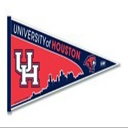 Rico PNTH261301-Houston Pennant