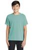 Comfort Colors Chouinard Youth Tee 9018 view 1