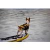 EzyDog Micro Dog Flotation Device, XXS, Yellow view 2