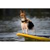 EzyDog Micro Dog Flotation Device, XXS, Yellow view 3
