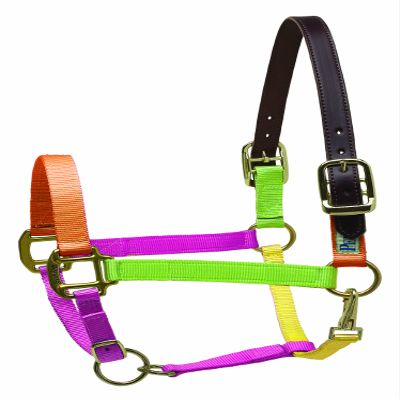Perri's Premium Nylon Safety Halter, Horse, Multi Neon