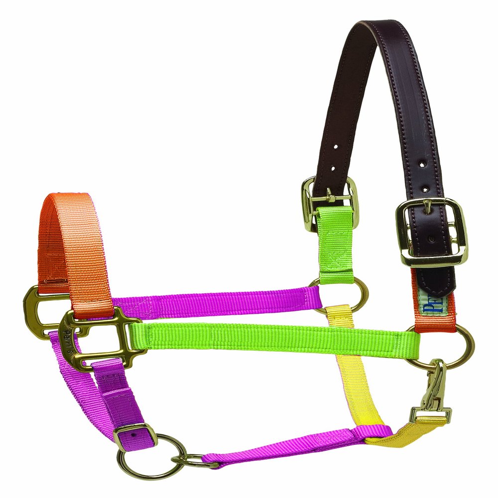 Perri's Premium Nylon Safety Halter, Horse, Multi Neon