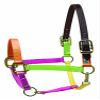 Perri's Premium Nylon Safety Halter, Horse, Multi Neon view 1