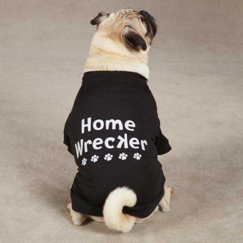 Casual Canine Home Wrecker Dog Tees Size: Small/Medium