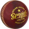 Readers Special School 4.75oz Cricket Ball, Red, Youths view 1