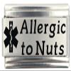 Allergic to Nuts Medical Alert Italian Charm Bracelet Jewelry Link view 1