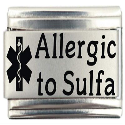 Allergic to Sulfa Medical Alert Italian Charm Bracelet Jewelry Link
