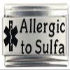 Allergic to Sulfa Medical Alert Italian Charm Bracelet Jewelry Link view 1