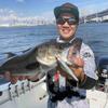 Megabass Minnow X-80SW S 8 GG Blue Pink Lure view 3
