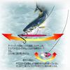 shaut! Metal Jig Stay 500g Silver Holo #61(SH) 119SY Lure view 3