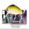 Smith LTD Minnow D-Insight 0.2 oz (5 g) 53 mm TS Laser #7 view 1