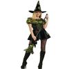 Rubie's Costume NLP Green Patch Witch Costume, Large view 2