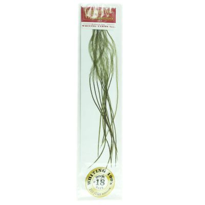 Whiting Farms 100's Saddle Hackle Pack  Olive Size 18