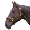 (Brown, Pony) - Eclipse Nylon Horse Headcollar - Fully adjustable with brass fittings, Sizes: Small Pony - Extra Large, Available in 11 different colours view 2