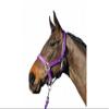 (Purple, Pony) - Eclipse Nylon Horse Headcollar - Fully adjustable with brass fittings, Sizes: Small Pony - Extra Large, Available in 11 different colours view 2