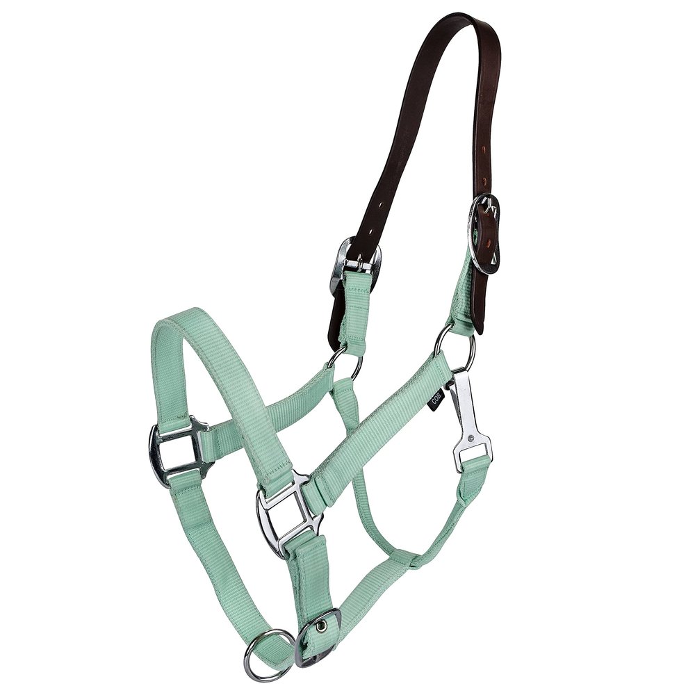 Gatsby Nylon Breakaway Halter Horse Mint