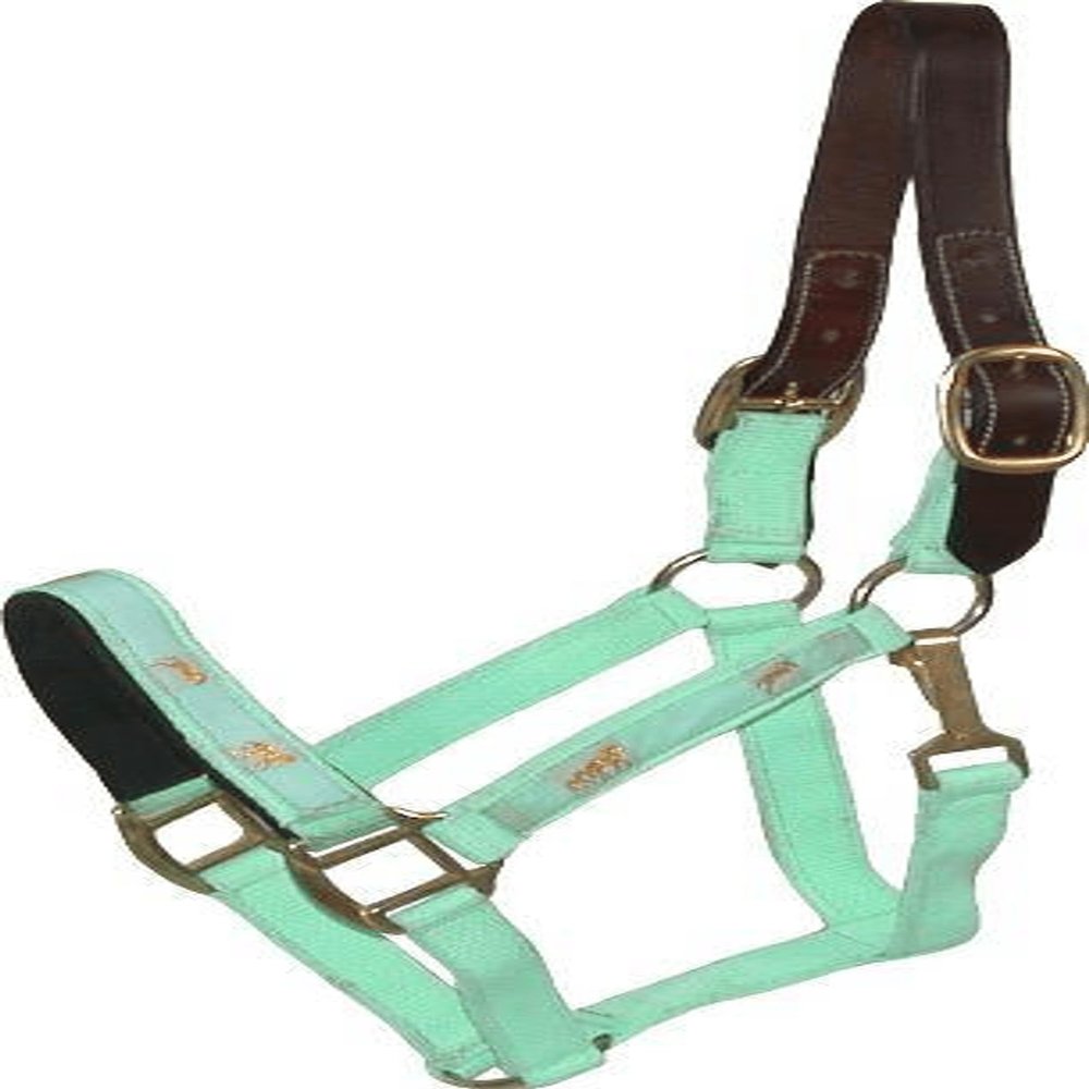 Gatsby Nylon Breakaway Halter Overlay Cob Mint