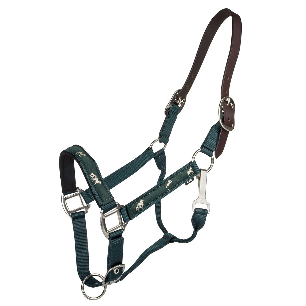 Gatsby Nylon Breakaway Halter Overlay Cob Hunter