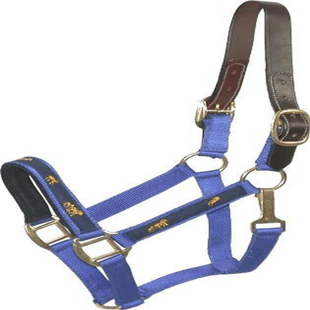 Gatsby Nylon Breakaway Halter Overlay Cob Royal Bl