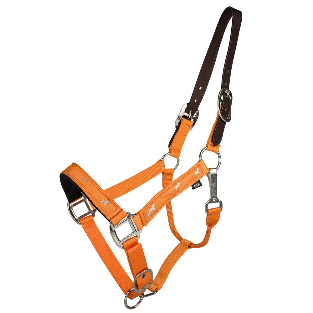 Gatsby Nylon Breakaway Halter Overlay Horse Orange