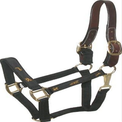Gatsby Nylon Breakaway Halter Overlay OS Black