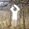 HME Reflective Split Wick for Hunting (Pack of 4) | Easy-to-Dip Scent-Absorbing Wicks with Large Hang Hole & Highly Reflective Orange Band view 3