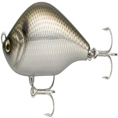 North Craft AOG70SLM SPM