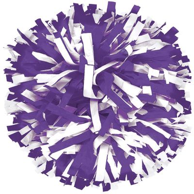 chass 2 Color Plastic Instock Cheerleading Pom Purple