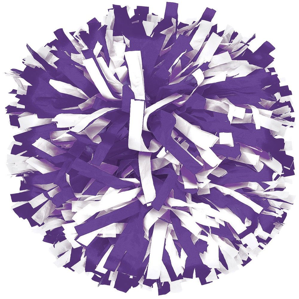chass 2 Color Plastic Instock Cheerleading Pom Purple