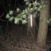 Cole Safety Products Reflective Trail Markers (40-2 Foot Markers) view 4