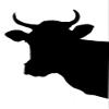 Wallmonkeys Cow Head Wall Decal Peel and Stick Graphic WM96477 (48 in H x 34 in W) view 2