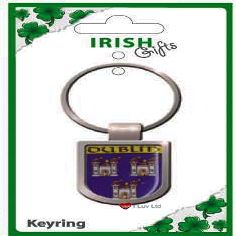 County Crest Dublin Shield Keyring