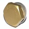 GoldPlug 1018, Made in USA, Suzuki Outboard Exhaust Plug, Aluminum Corrosion FIX, Replaces # 09248-18010 view 1