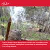 TINK'S Honey Bacon Smokin' Stick 6 Pack Lure/Attractant for Bear Hunting - Synthetic Smoke Sticks to Attract Bears view 2