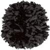 chass Plastic Instock Cheerleading Pom Black view 1