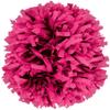 chass Plastic Instock Cheerleading Pom Pink view 1