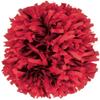 chass Plastic Instock Cheerleading Pom Red view 1