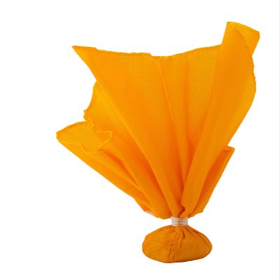Champro Flag with Ball